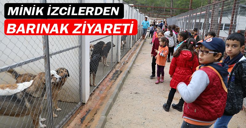 İzci sınıfı hayvan barınağında