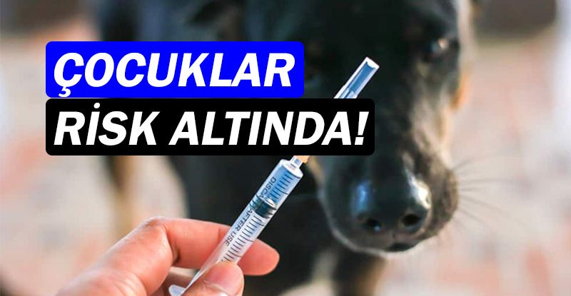 Kuduz, her yıl on binlerce can alıyor!