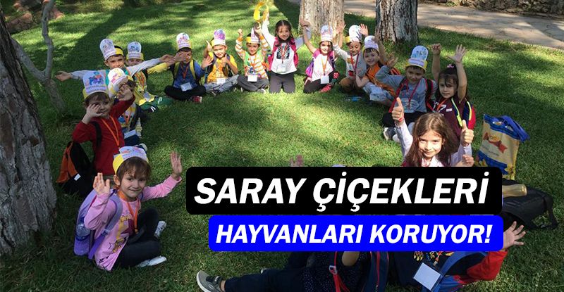 Saray Çiçekleri Kreş'ten özel günler etkinlikleri