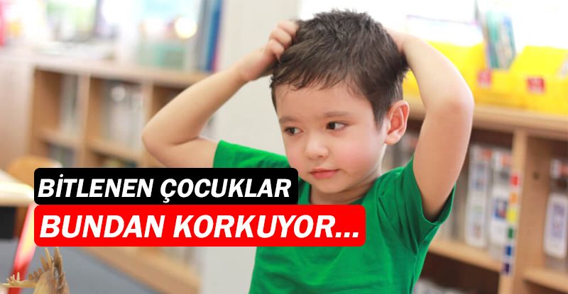 Çocuklar bitten değil dışlanmaktan korkuyor!